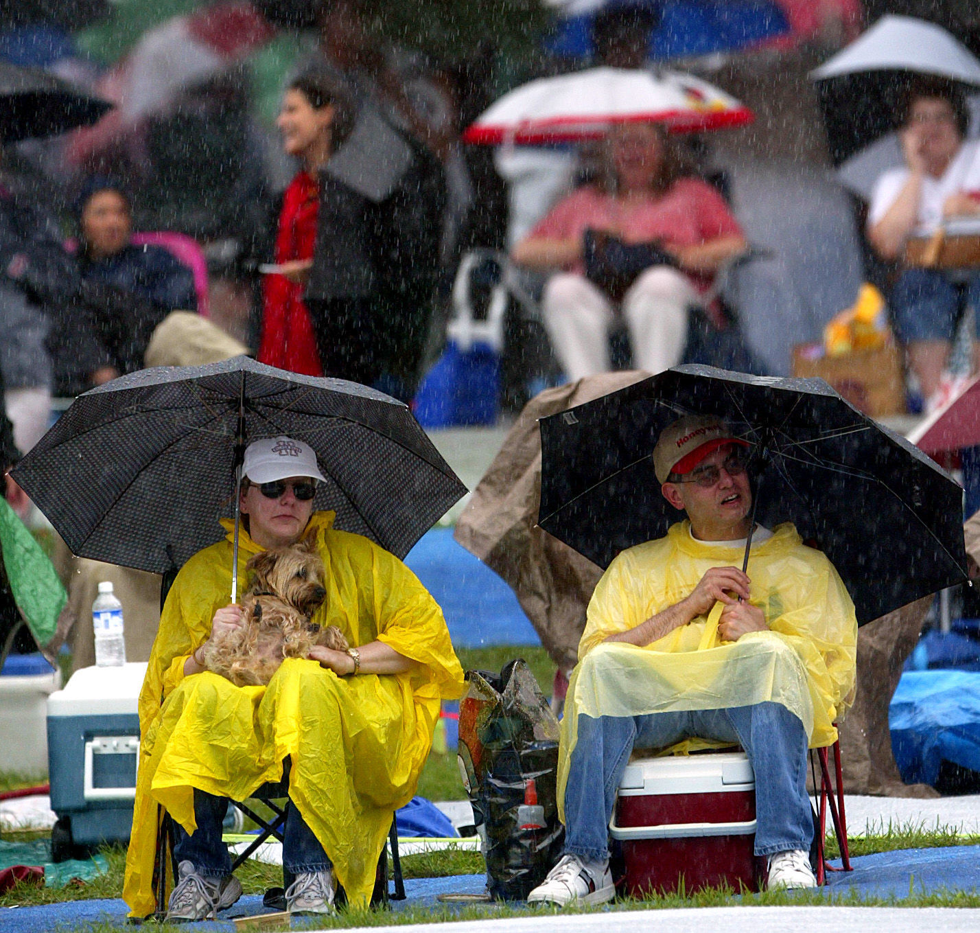 2004